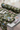 *Butterfly Camo* (DTY Double Brushed Poly)