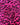 *Cat Fight - Leopard* (DTY Double Brushed Poly) *Damaged
